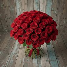 Букет 55 Красных роз Фридом #REPLACE_PRED# Нудоль