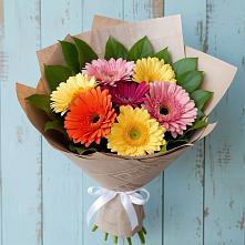 Букет цветов из:  Герберы #REPLACE_PRED# Нудоль